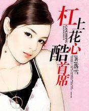 杠上花心酷总裁